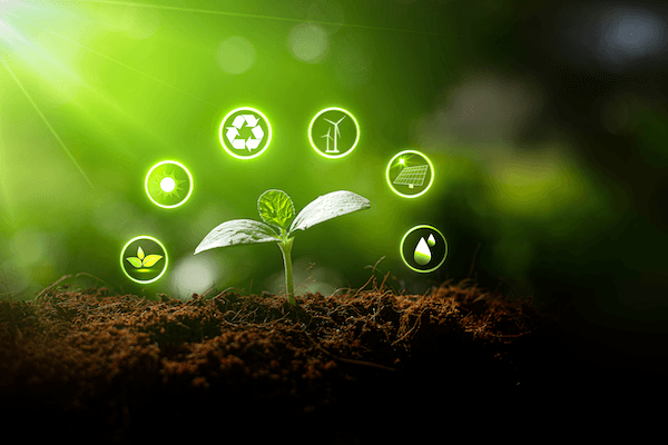 A plant growing from soil with bubbles of the environment surrounding the sprout