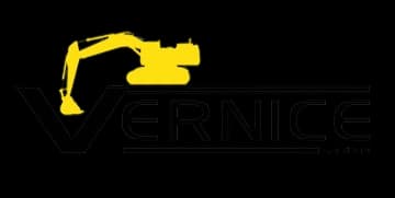 Vernice Logo
