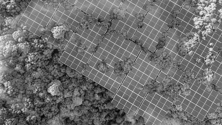 A bird's eye view of solar panels and trees in a forest